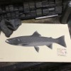 Fish Print Shop