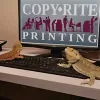 Copy-Rite Printing